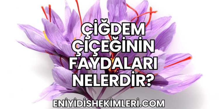 Çiğdem Çiçeğinin Faydaları Nelerdir?
