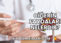 Ciğerin Faydaları Nelerdir?