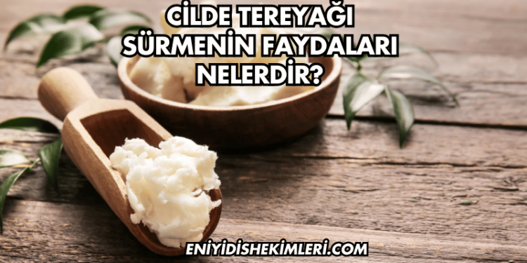 Cilde Tereyağı Sürmenin Faydaları Nelerdir?