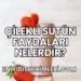 Çilekli Sütün Faydaları Nelerdir?