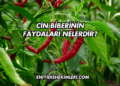 Cin Biberinin Faydaları Nelerdir?
