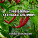 Cin Biberinin Faydaları Nelerdir?