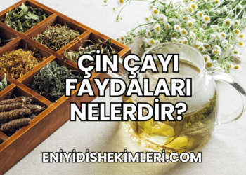 Çin Çayı Faydaları Nelerdir?
