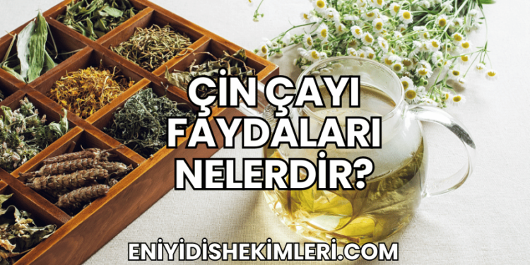 Çin Çayı Faydaları Nelerdir?