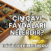 Çin Çayı Faydaları Nelerdir?
