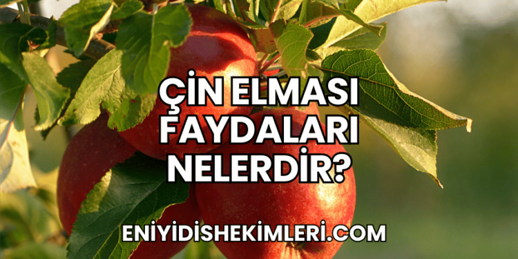 Çin Elması Faydaları Nelerdir?