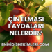 Çin Elması Faydaları Nelerdir?