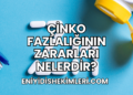 Çinko Fazlalığının Zararları Nelerdir?