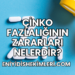 Çinko Fazlalığının Zararları Nelerdir?