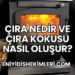 Çıra Nedir ve Çıra Kokusu Nasıl Oluşur?
