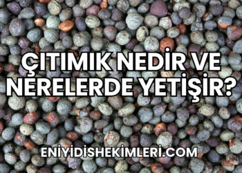 Çıtımık Nedir ve Nerelerde Yetişir?