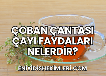 Çoban Çantası Çayı Faydaları Nelerdir?