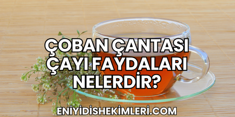 Çoban Çantası Çayı Faydaları Nelerdir?