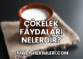 Çökelek Faydaları Nelerdir?