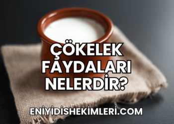 Çökelek Faydaları Nelerdir?