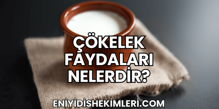 Çökelek Faydaları Nelerdir?