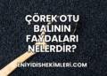 Çörek Otu Balının Faydaları Nelerdir?