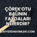 Çörek Otu Balının Faydaları Nelerdir?