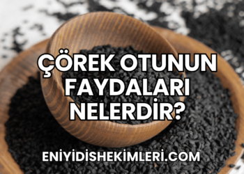 Çörek Otunun Faydaları Nelerdir?
