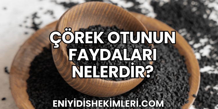 Çörek Otunun Faydaları Nelerdir?