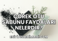Çörek Otu Sabunu Faydaları Nelerdir?