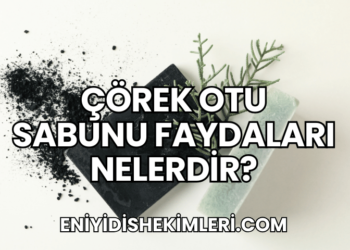 Çörek Otu Sabunu Faydaları Nelerdir?