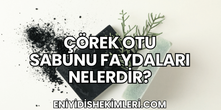 Çörek Otu Sabunu Faydaları Nelerdir?