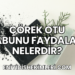 Çörek Otu Sabunu Faydaları Nelerdir?