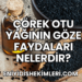 Çörek Otu Yağının Göze Faydaları Nelerdir?
