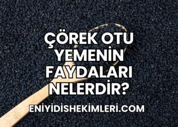 Çörek Otu Yemenin Faydaları Nelerdir?