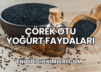 Çörek Otu Yoğurt Faydaları