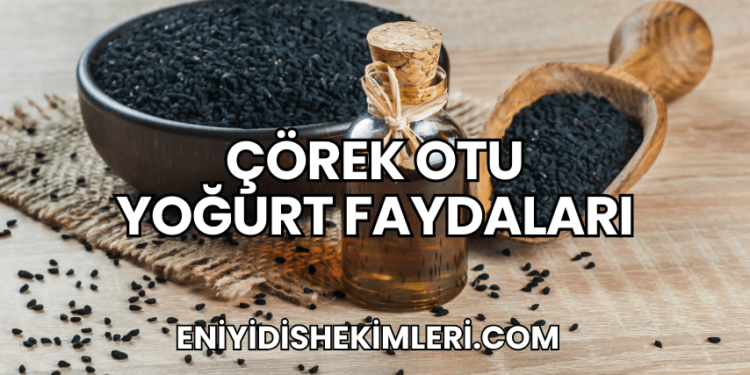 Çörek Otu Yoğurt Faydaları