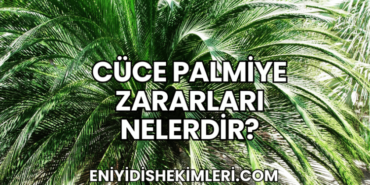 Cüce Palmiye Zararları Nelerdir