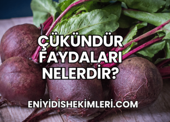 Çükündür Faydaları Nelerdir?