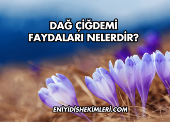 Dağ Çiğdemi Faydaları Nelerdir?