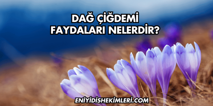 Dağ Çiğdemi Faydaları Nelerdir?