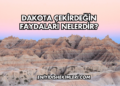 Dakota Çekirdeğin Faydaları Nelerdir?