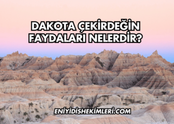 Dakota Çekirdeğin Faydaları Nelerdir?