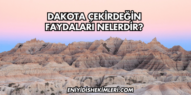 Dakota Çekirdeğin Faydaları Nelerdir?