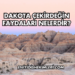 Dakota Çekirdeğin Faydaları Nelerdir?
