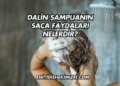 Dalin Şampuanın Saça Faydaları Nelerdir?