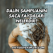 Dalin Şampuanın Saça Faydaları Nelerdir?