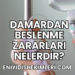 Damardan Beslenme Zararları Nelerdir