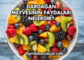 Dardağan Meyvesinin Faydaları Nelerdir?