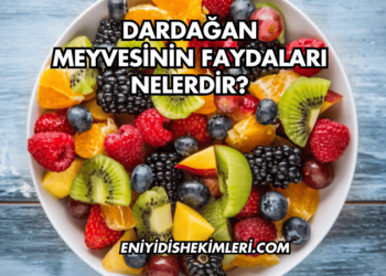 Dardağan Meyvesinin Faydaları Nelerdir?