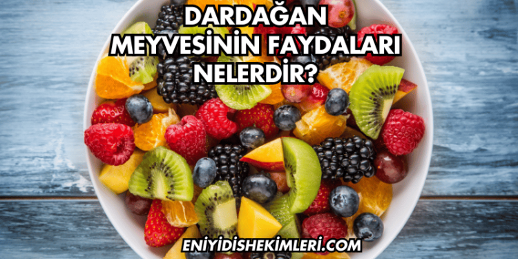 Dardağan Meyvesinin Faydaları Nelerdir?