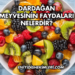 Dardağan Meyvesinin Faydaları Nelerdir?