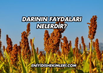 Darının Faydaları Nelerdir?