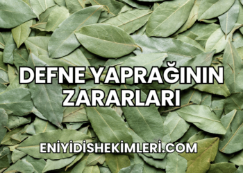 Defne Yaprağının Zararları