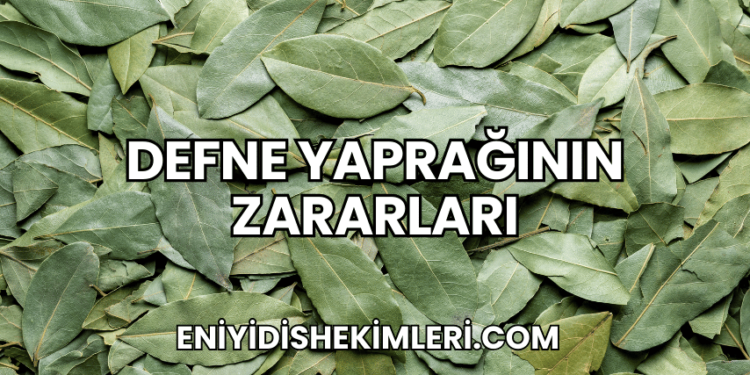 Defne Yaprağının Zararları